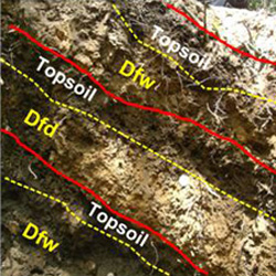 Soil profile